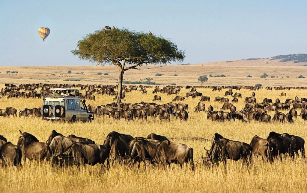 Maasai Mara National Reserve